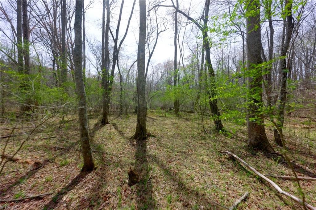 0 Johnson Farm Road, Unit 1 Pilot Mountain, NC 27041 - Photo 9 of 28 Gallery Image 9