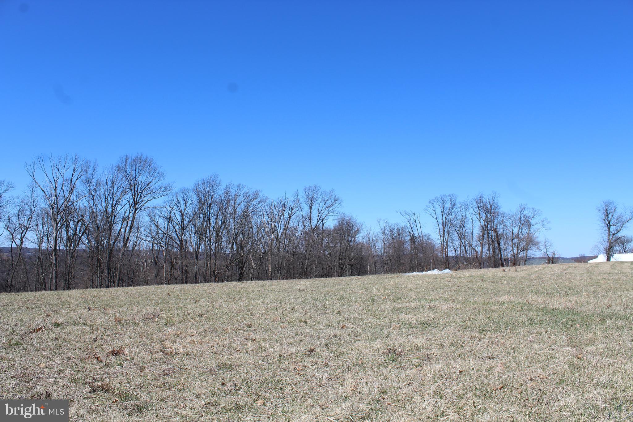 Lot 1 Water Tank Road Manchester, MD 21102 - Photo 2 of 8 a view of backyard space and trees