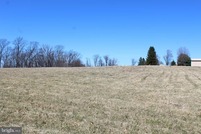 a view of road and trees
