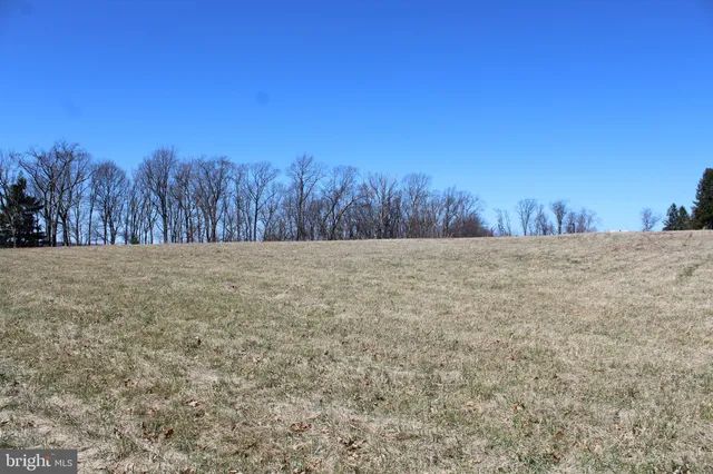 a view of backyard with trees