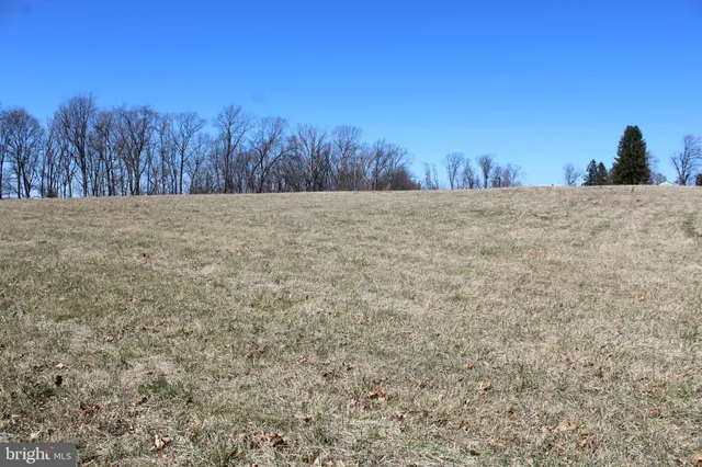 a view of a dry yard with trees in the background