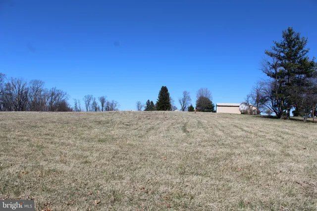 a view of outdoor space with trees