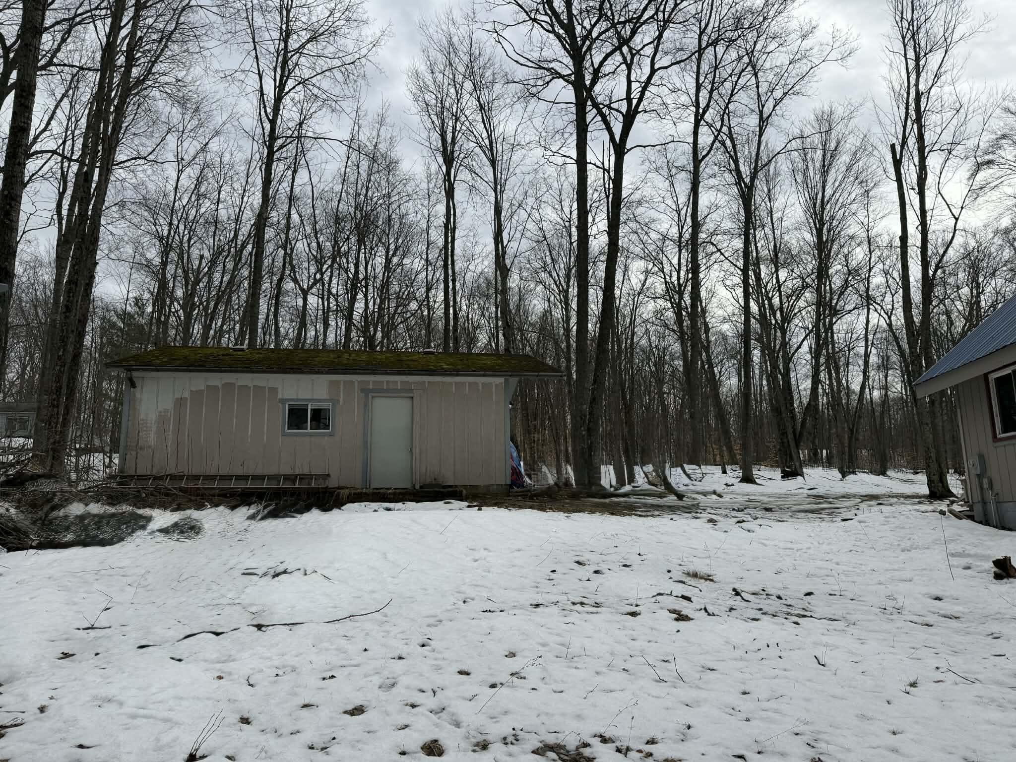 10131 Alpine Drive Reed City, MI 49677 - Photo 12 of 75 75f435bd-86b7-4ec9-bd6a-0c6a2da4a8b2