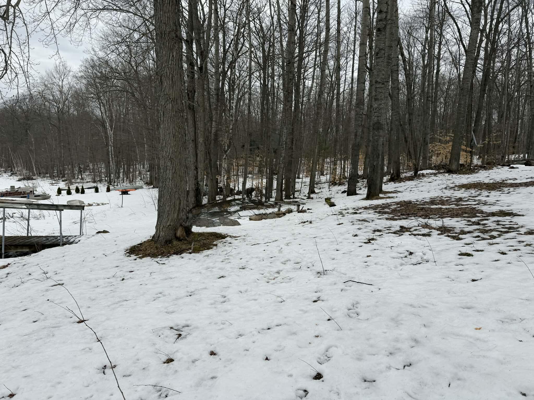 10131 Alpine Drive Reed City, MI 49677 - Photo 26 of 75 97bba1f6-492c-45cf-9e87-d18ca6a27b9c