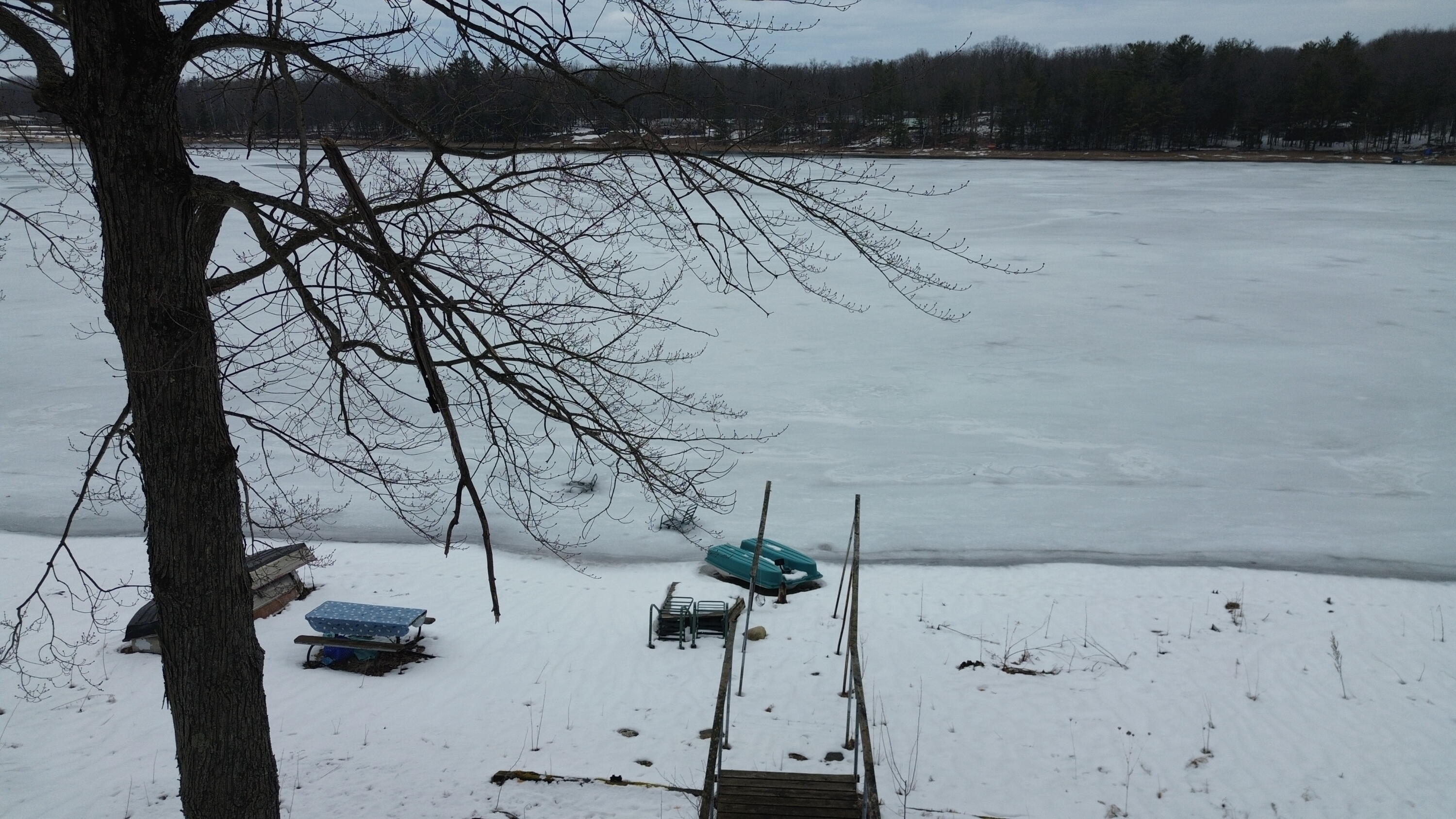 10131 Alpine Drive Reed City, MI 49677 - Photo 28 of 75 DJI_0051