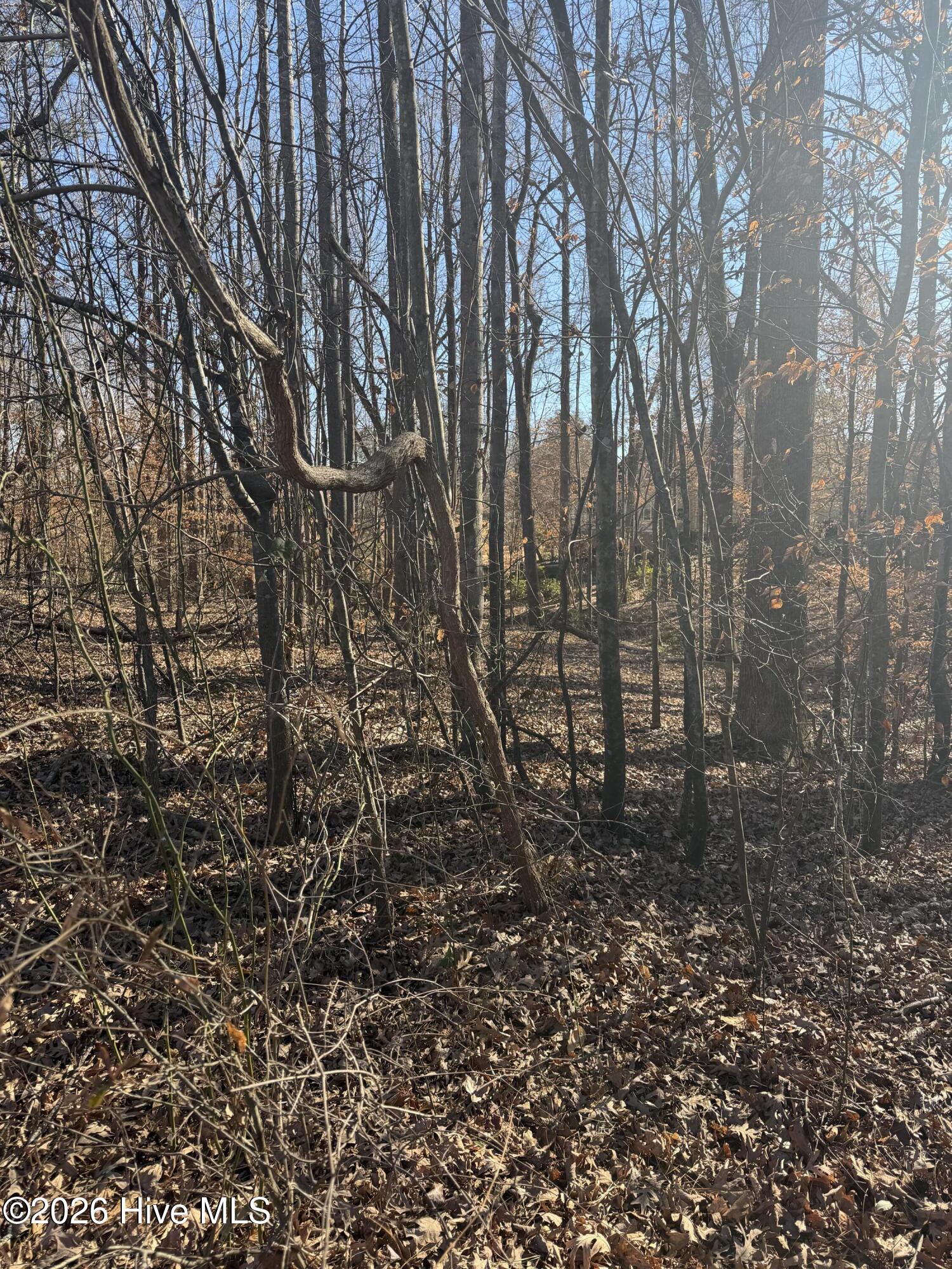 3189 Abbey Road Rocky Mount, NC 27804 - Photo 2 of 3 IMG_0843