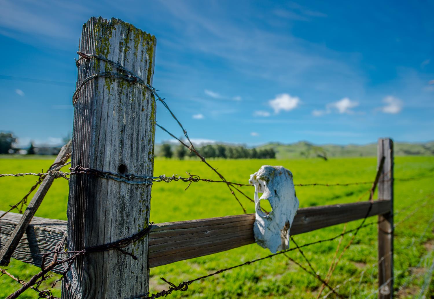 12076 County Road 84A Capay, CA 95607 - Photo 43 of 46
