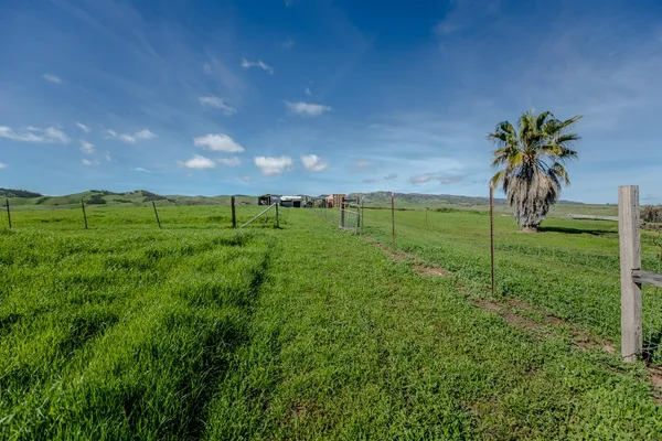 $805,000 | 12076 County Road 84A, Capay, CA 95607
