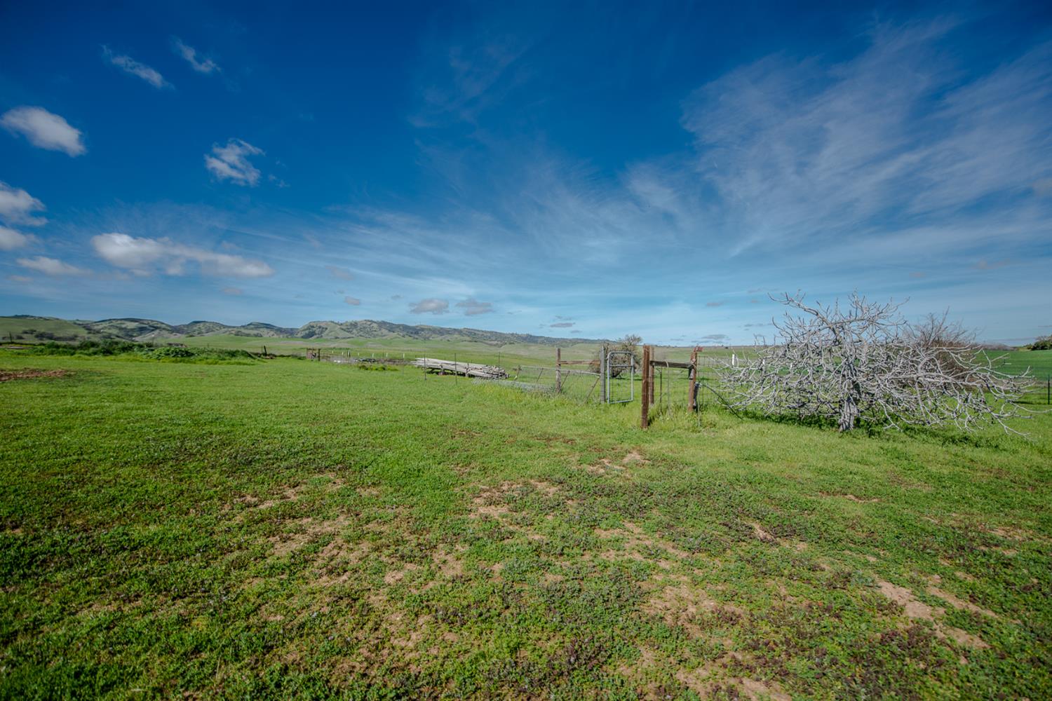 12076 County Road 84A Capay, CA 95607 - Photo 45 of 46