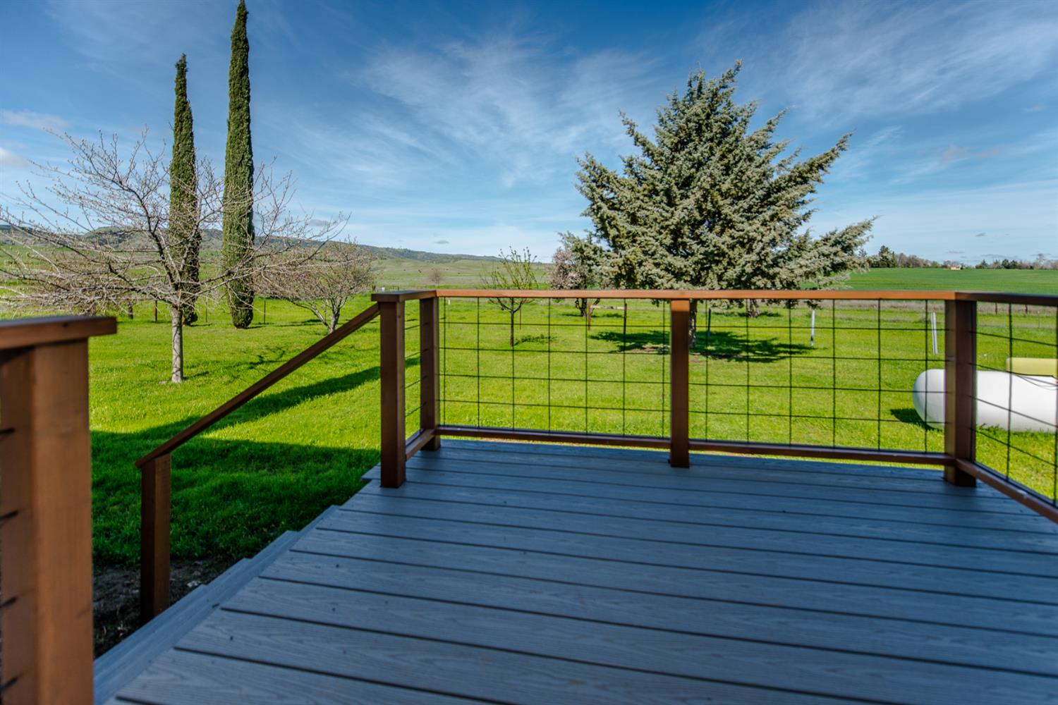 12076 County Road 84A Capay, CA 95607 - Photo 8 of 46 a view of a park with large trees