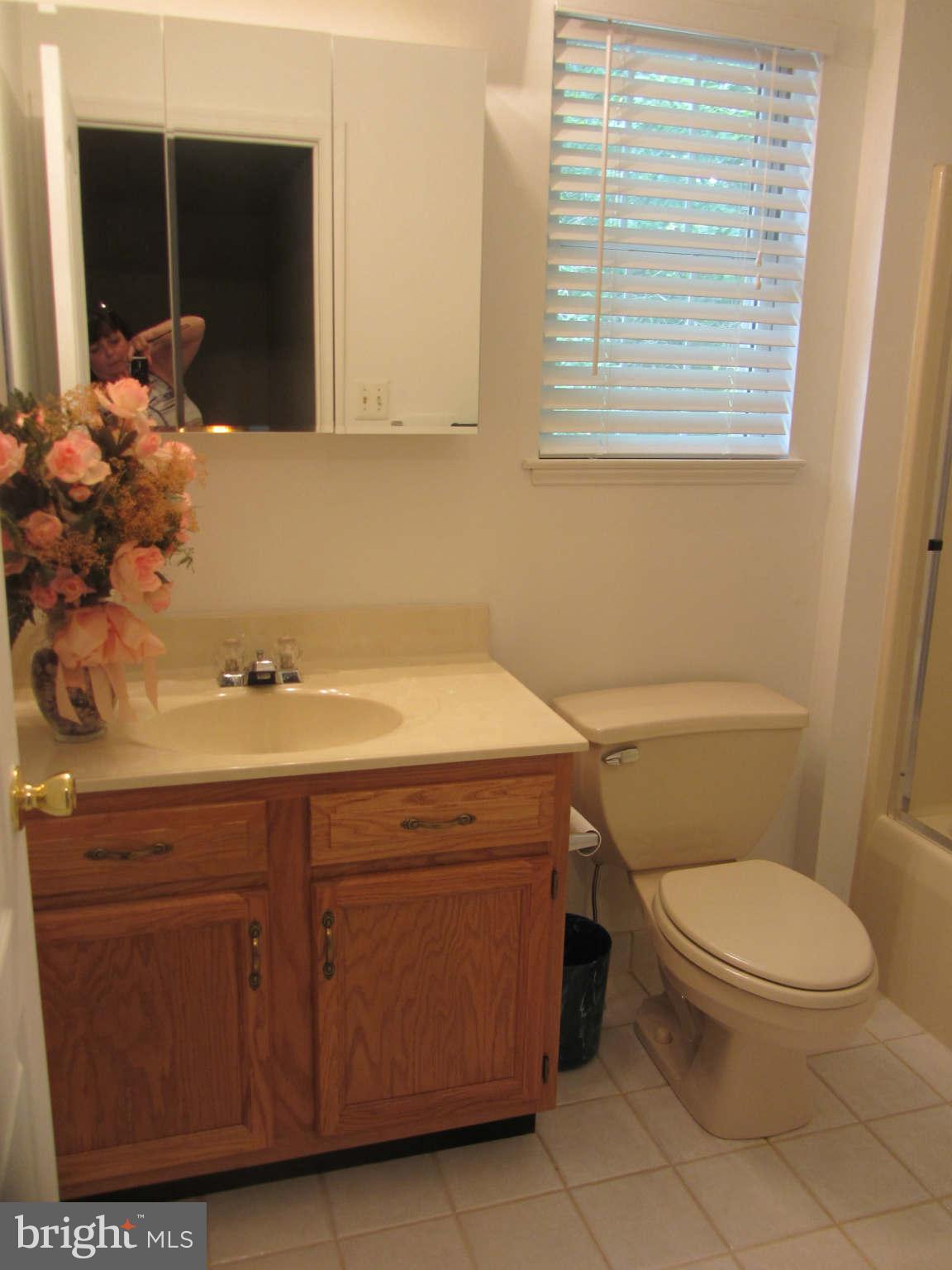 3657 Daisy Road Woodbine, MD 21797 - Photo 16 of 22 Bath