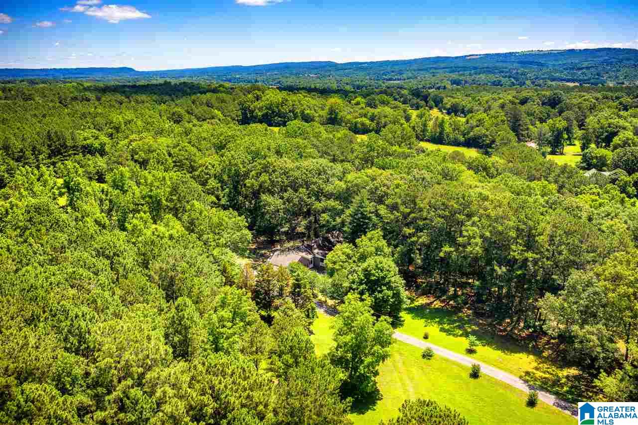 225 County Road 33 Oneonta, AL 35121 - Photo 34 of 41