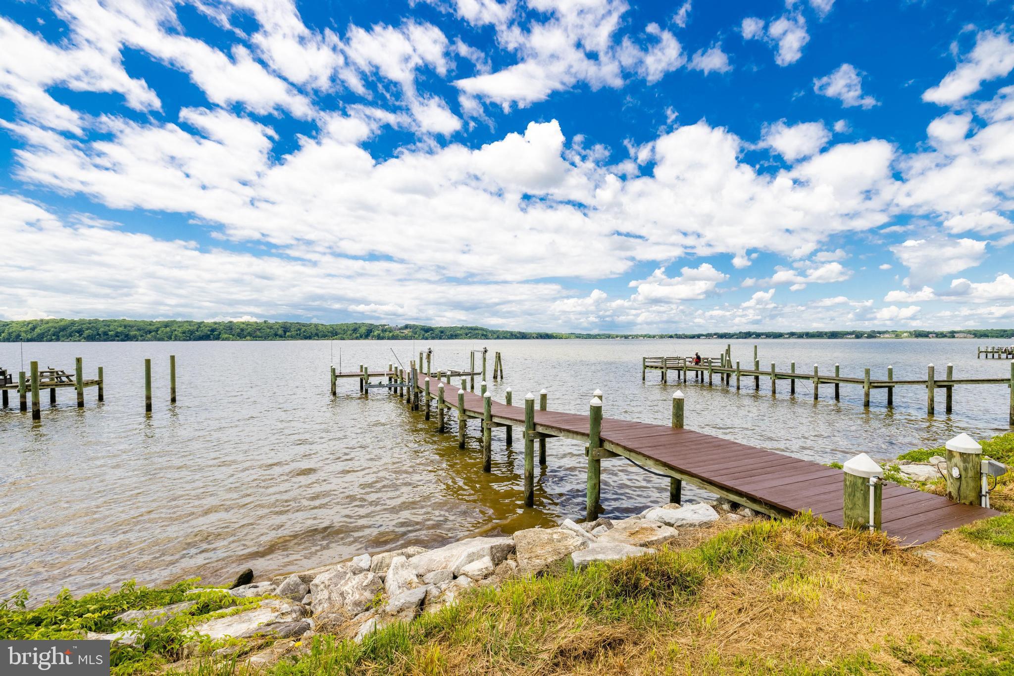 5950 River Road Bryans Road, MD 20616 - Photo 3 of 39 Dock and Riprap