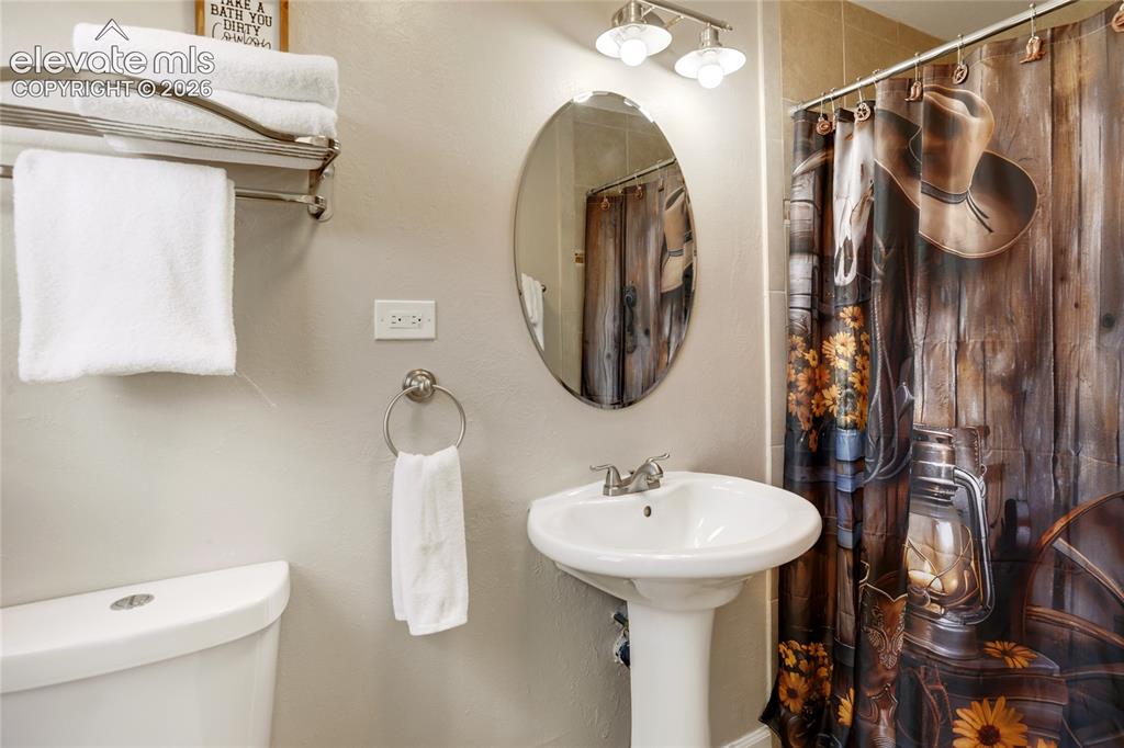 9850 Mohawk Trail Cascade, CO 80809 - Photo 41 of 49