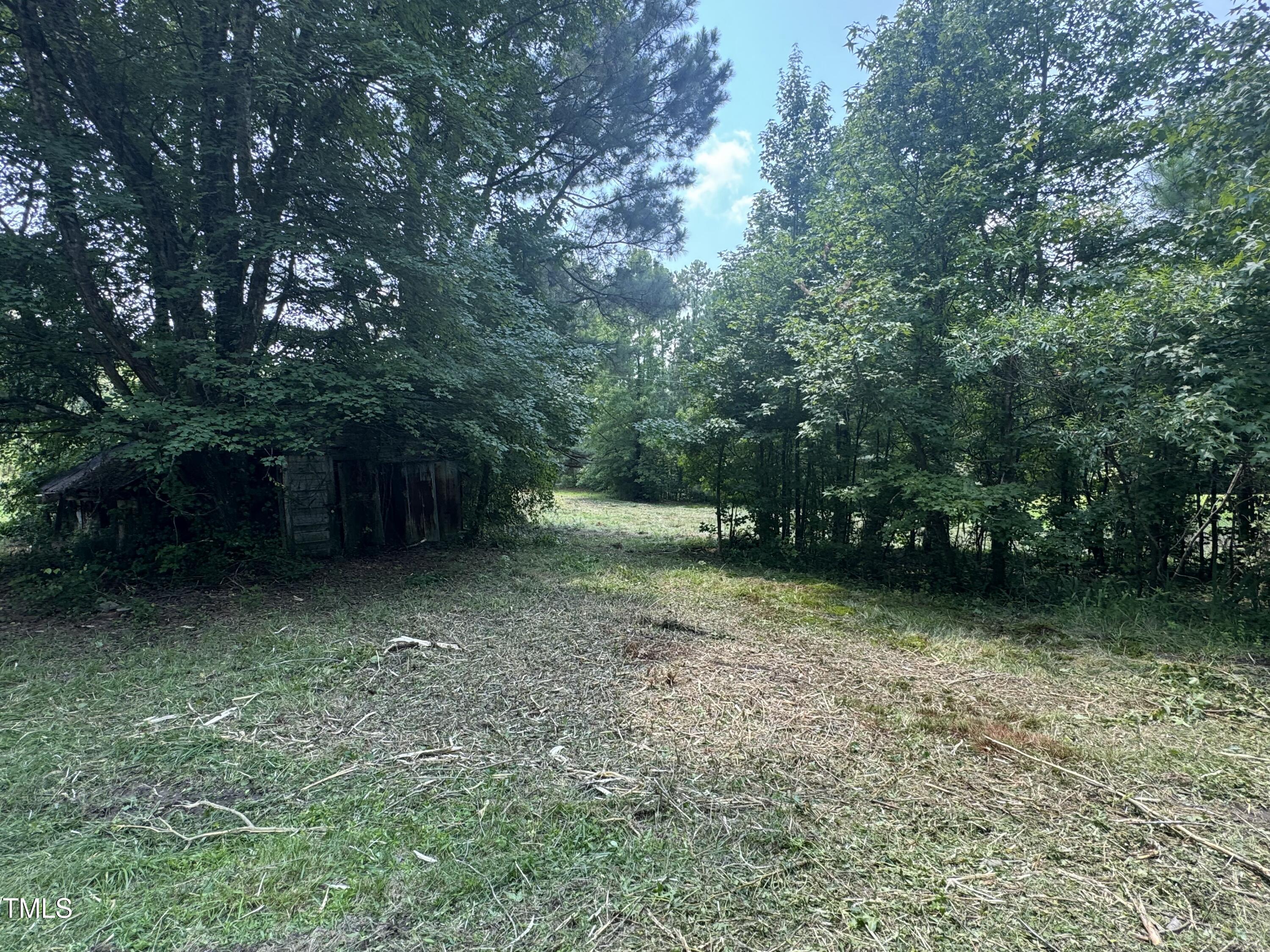 163 Sexton Road Apex, NC 27523 - Photo 8 of 12 a view of a backyard with trees