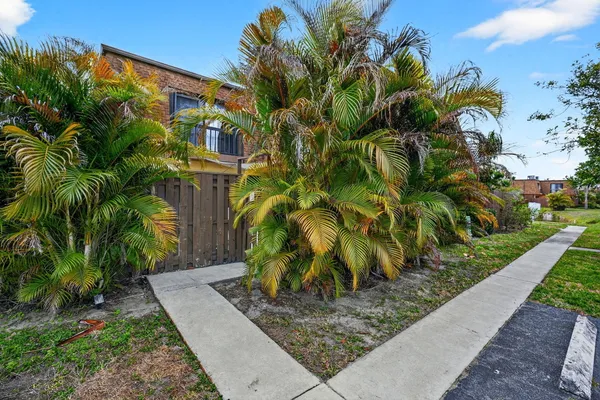 a view of a yard with plants