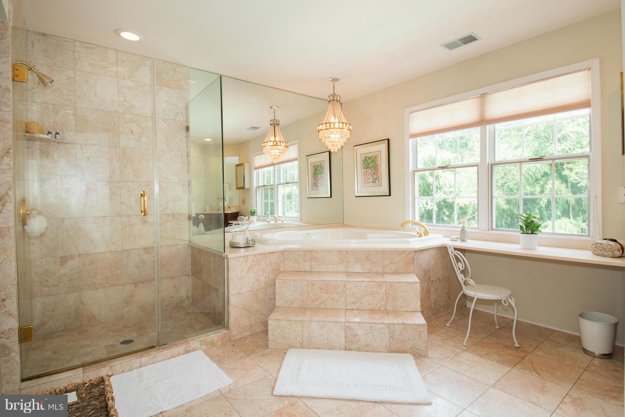 576 Stocketts Run Road Davidsonville, MD 21035 - Photo 23 of 30 Bath (Master)