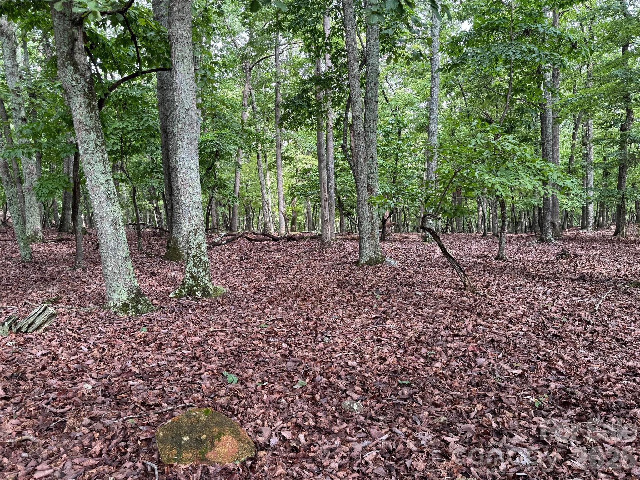 1695 Sierra Trace Road Denton, NC 27239 - Photo 4 of 12