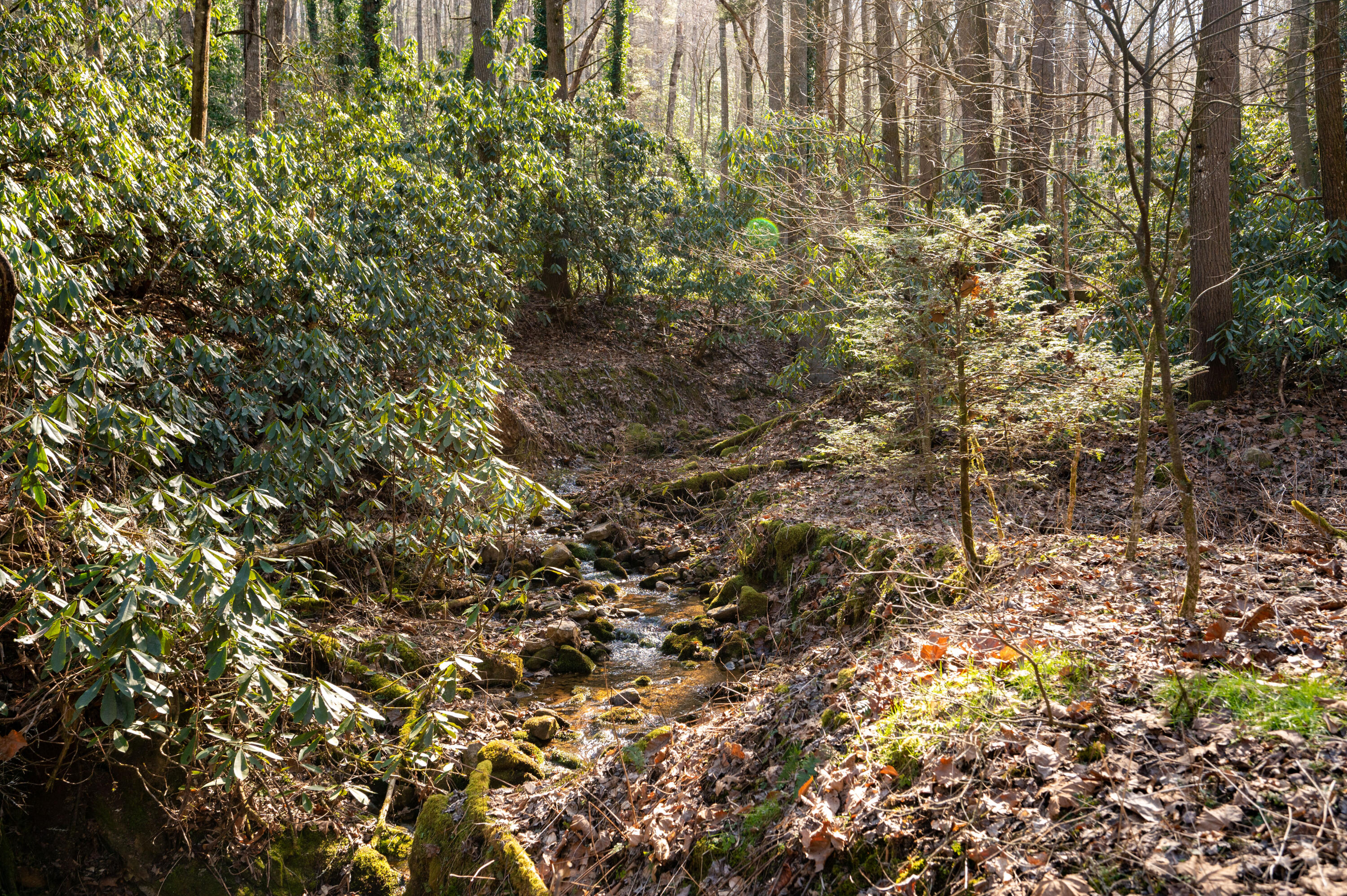 705 Logan Ridge Road Elizabethton, TN 37643 - Photo 42 of 45 Logan Ridge Rd-48