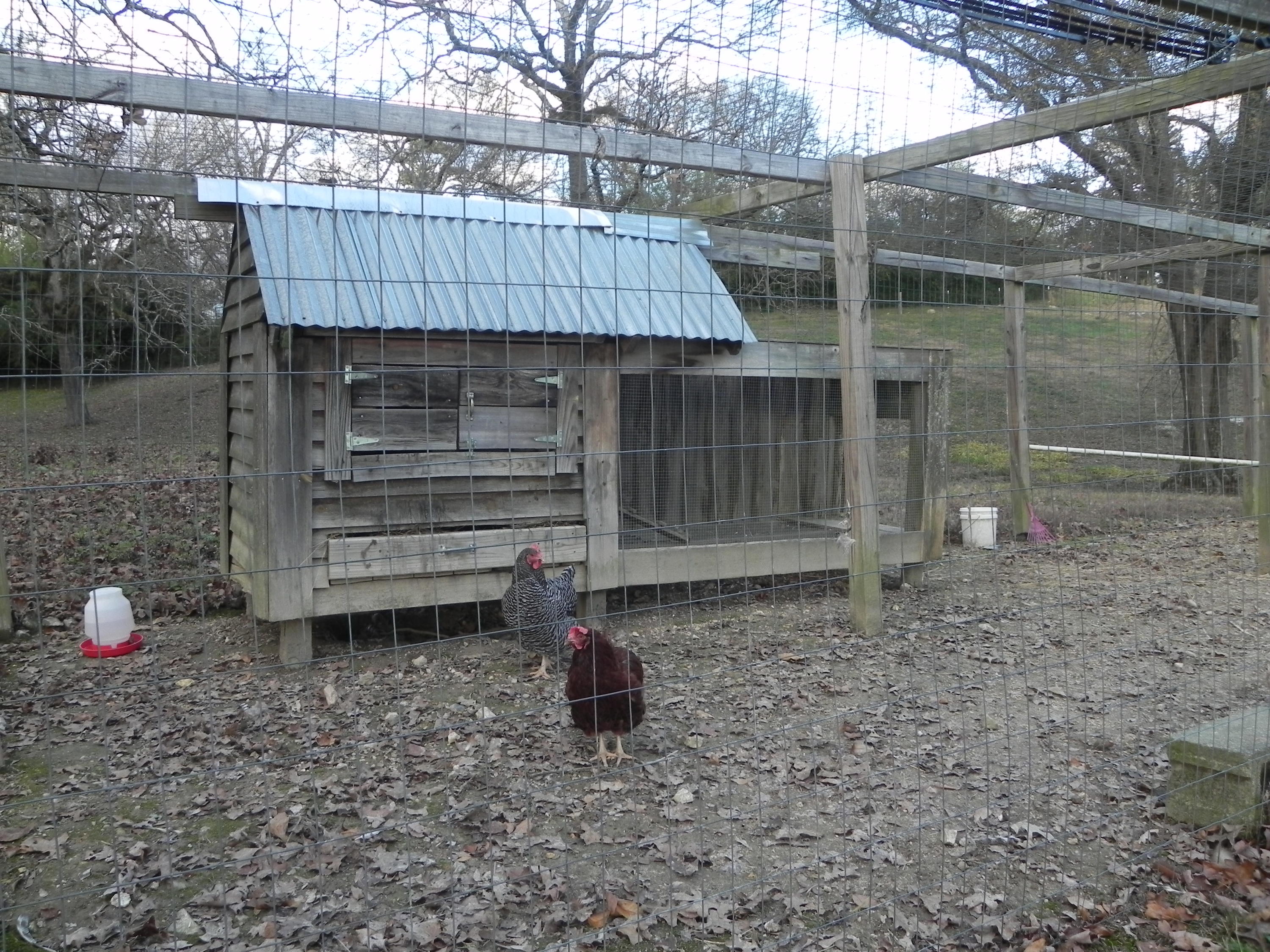 1453 Grand Center Road Chickamauga, GA 30707 - Photo 57 of 68 Chicken House 1 of 2
