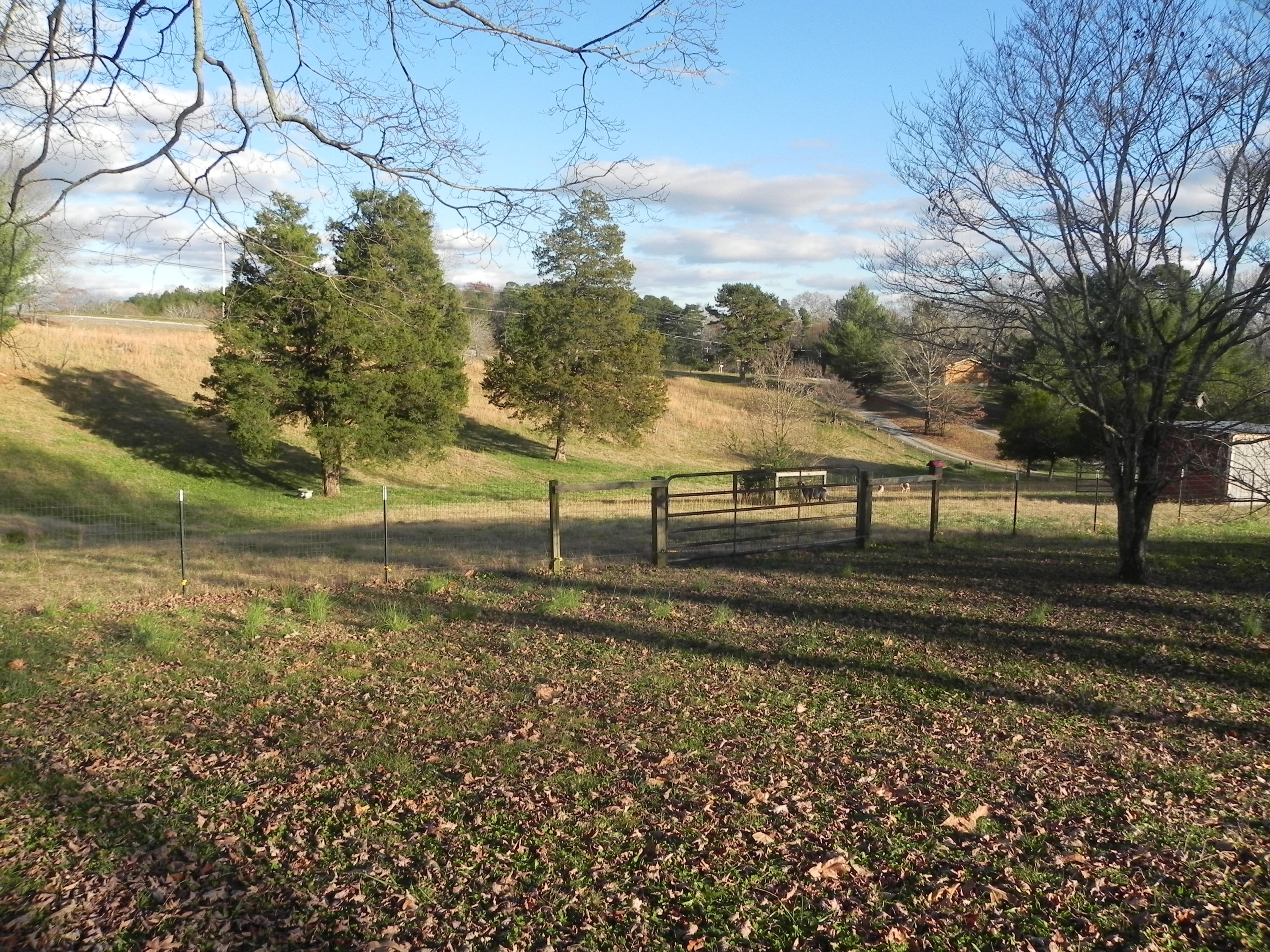 1453 Grand Center Road Chickamauga, GA 30707 - Photo 62 of 68 View of land 1