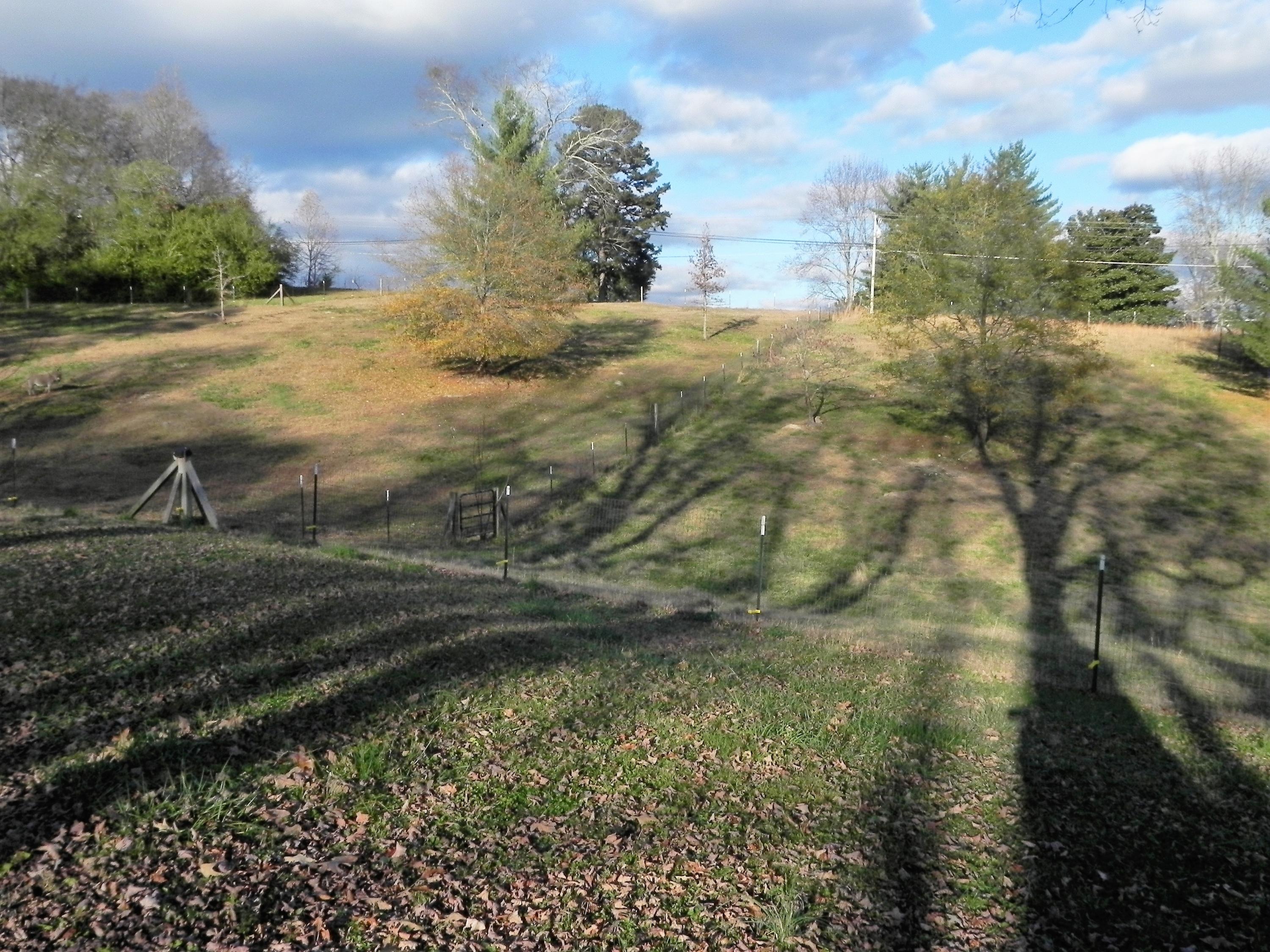 1453 Grand Center Road Chickamauga, GA 30707 - Photo 64 of 68 View of land 3