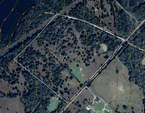 a view of a field of grass and trees