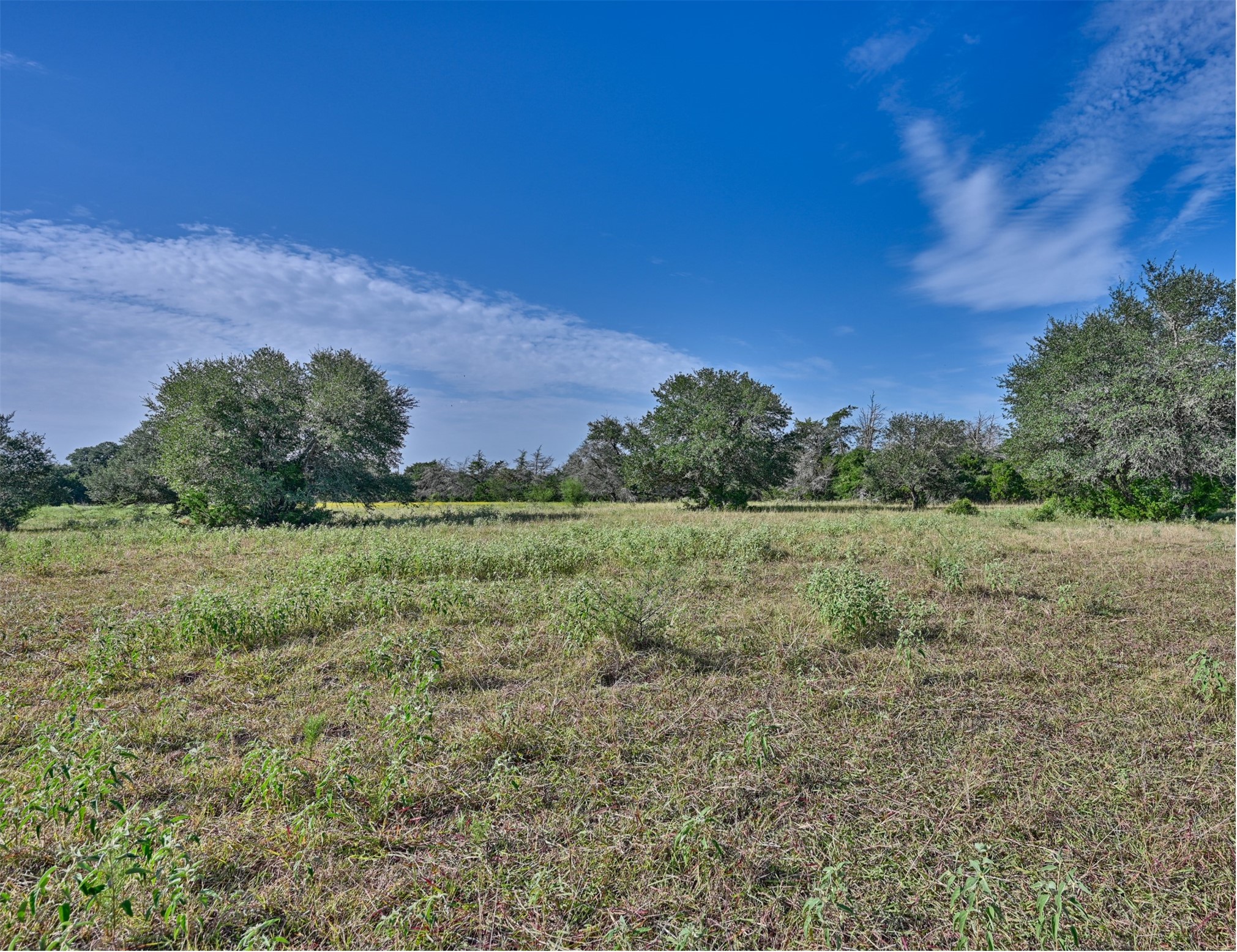 34-acres Leslie Road Fayetteville, TX 78940 - Photo 12 of 12