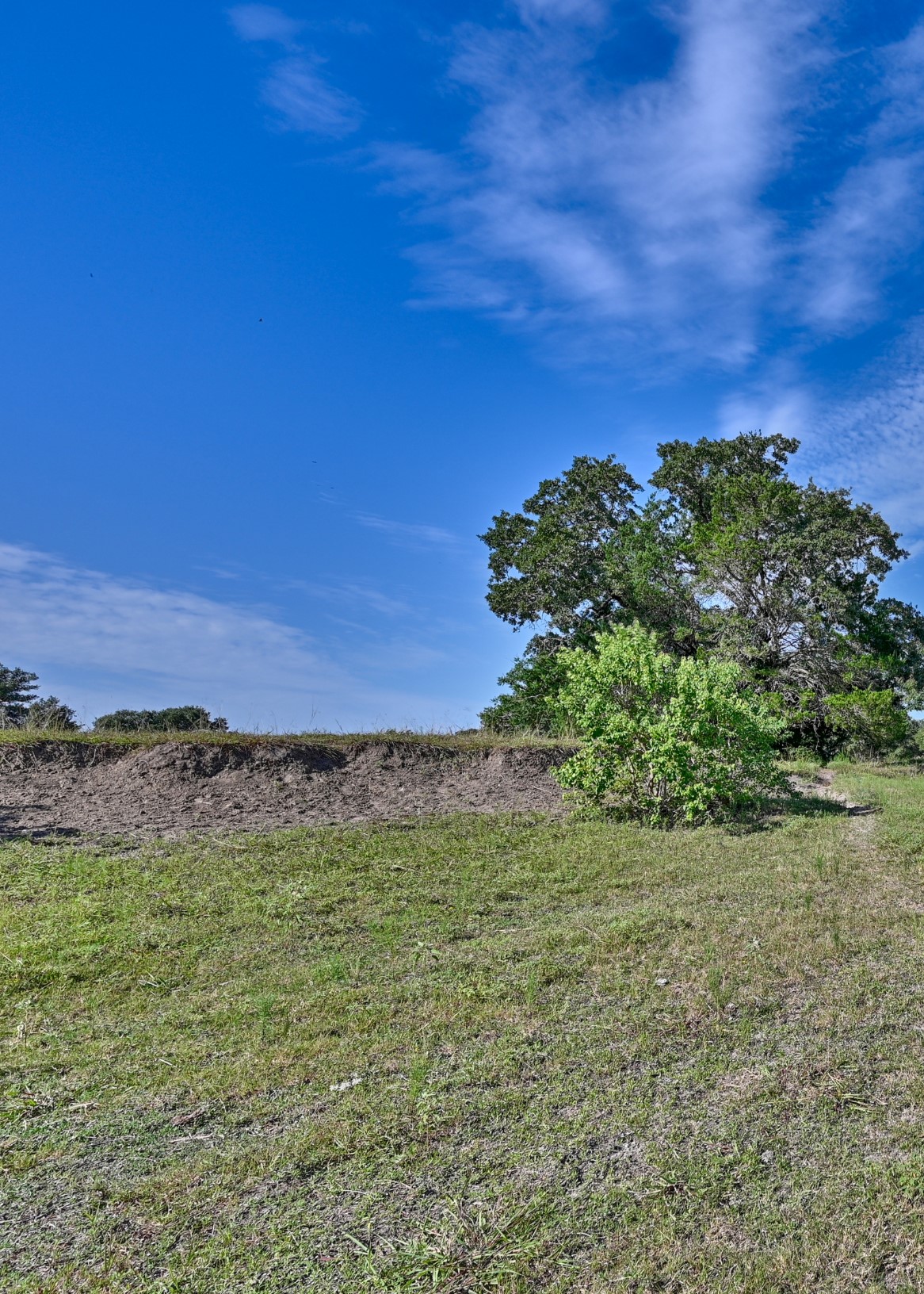 34-acres Leslie Road Fayetteville, TX 78940 - Photo 8 of 12