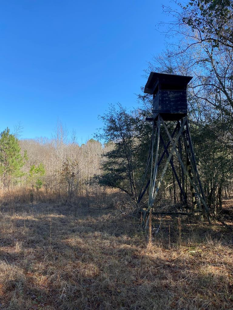 0 Brown-Mobley Road Sardis, GA 30456 - Photo 5 of 15