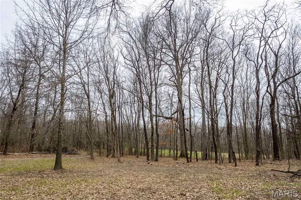 $329,000 | 120 Willow Lane, Eolia, MO 63344