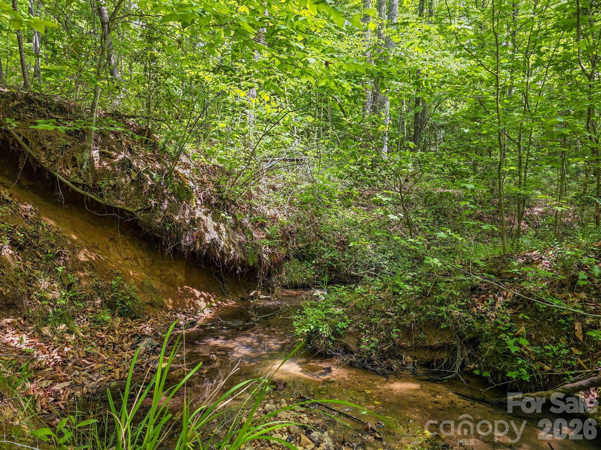 0 Romey Campbell Road Ellenboro, NC 28040 - Photo 2 of 41