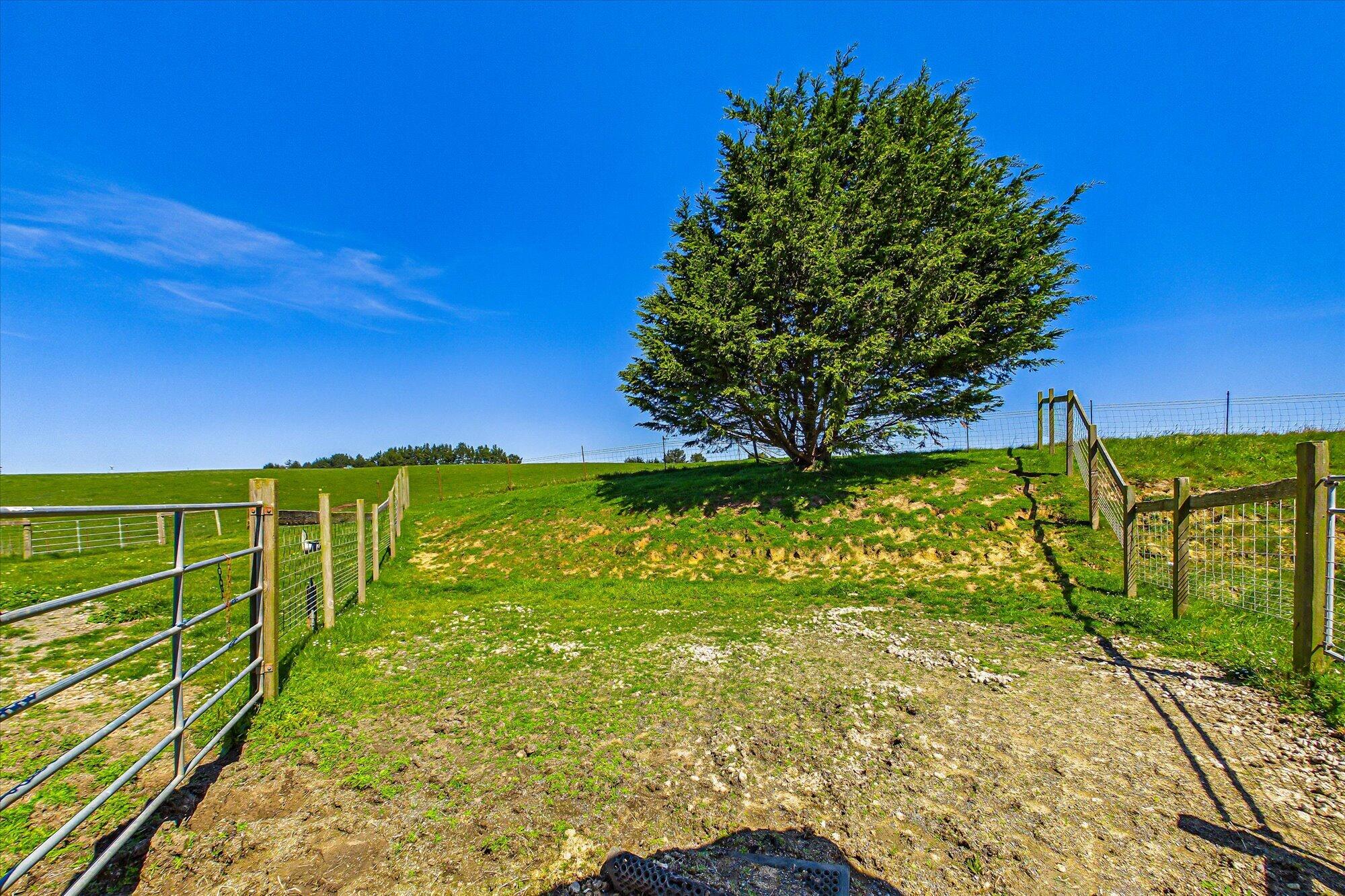 255 Hillcrest Road Loleta, CA 95551 - Photo 78 of 105 078-255 Hillcrest Road-168