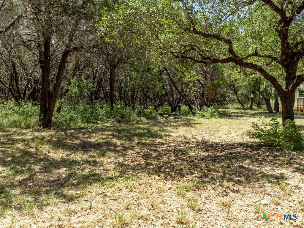 340 Sedro Trail Georgetown, TX 78633 - Photo 17 of 40 Back area of property Start of the walking trail.
