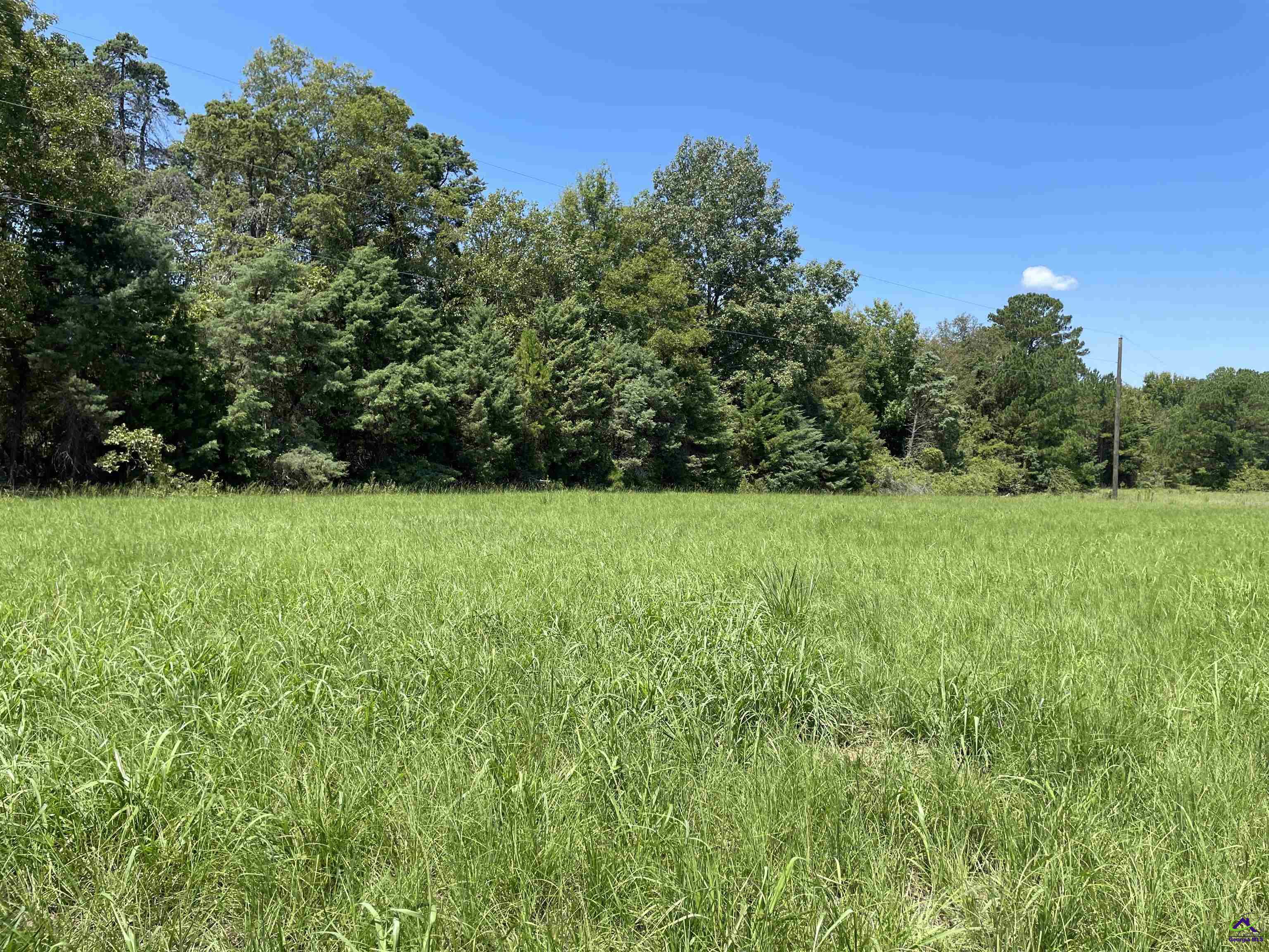 120 Murdock Road Cochran, GA 31014 - Photo 7 of 8
