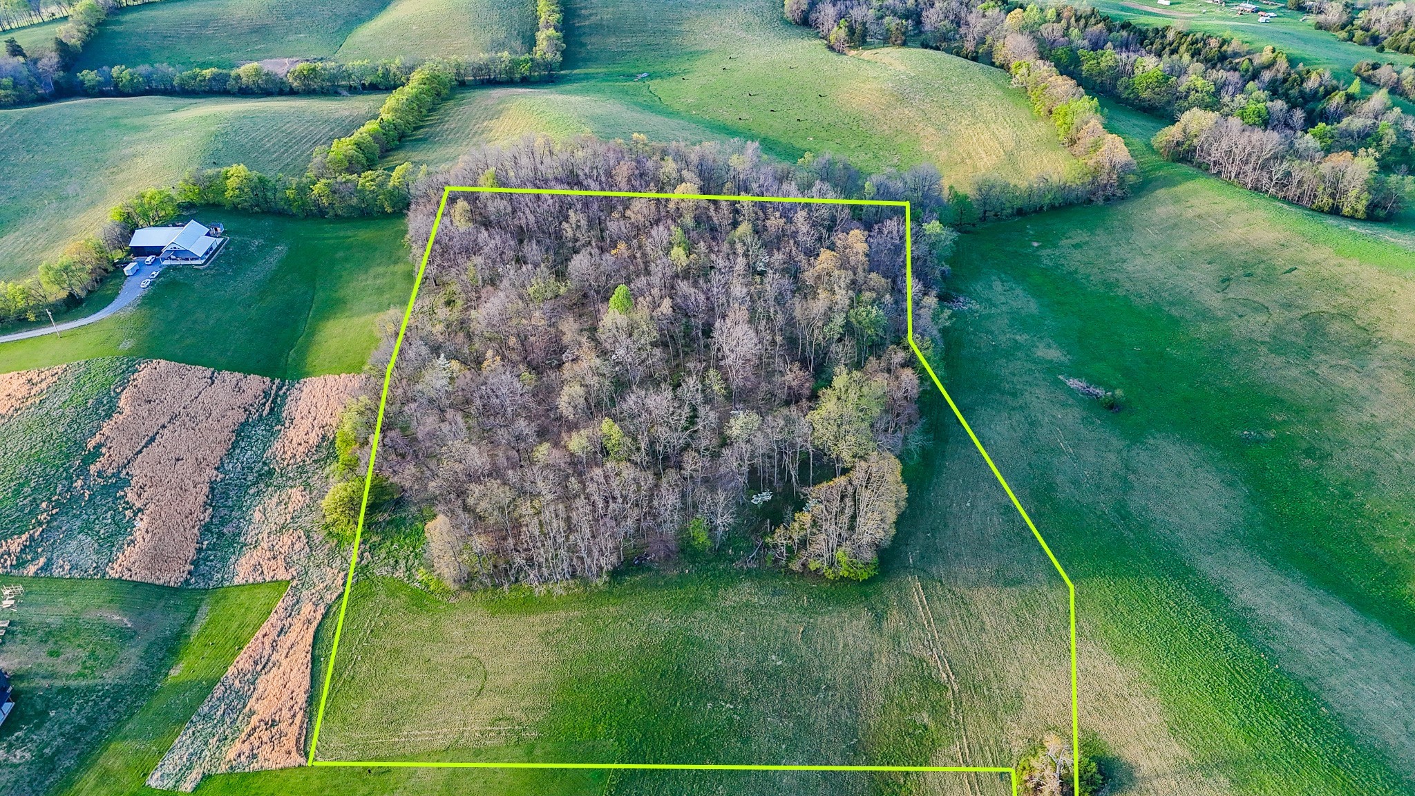 a view of a golf club with a backyard