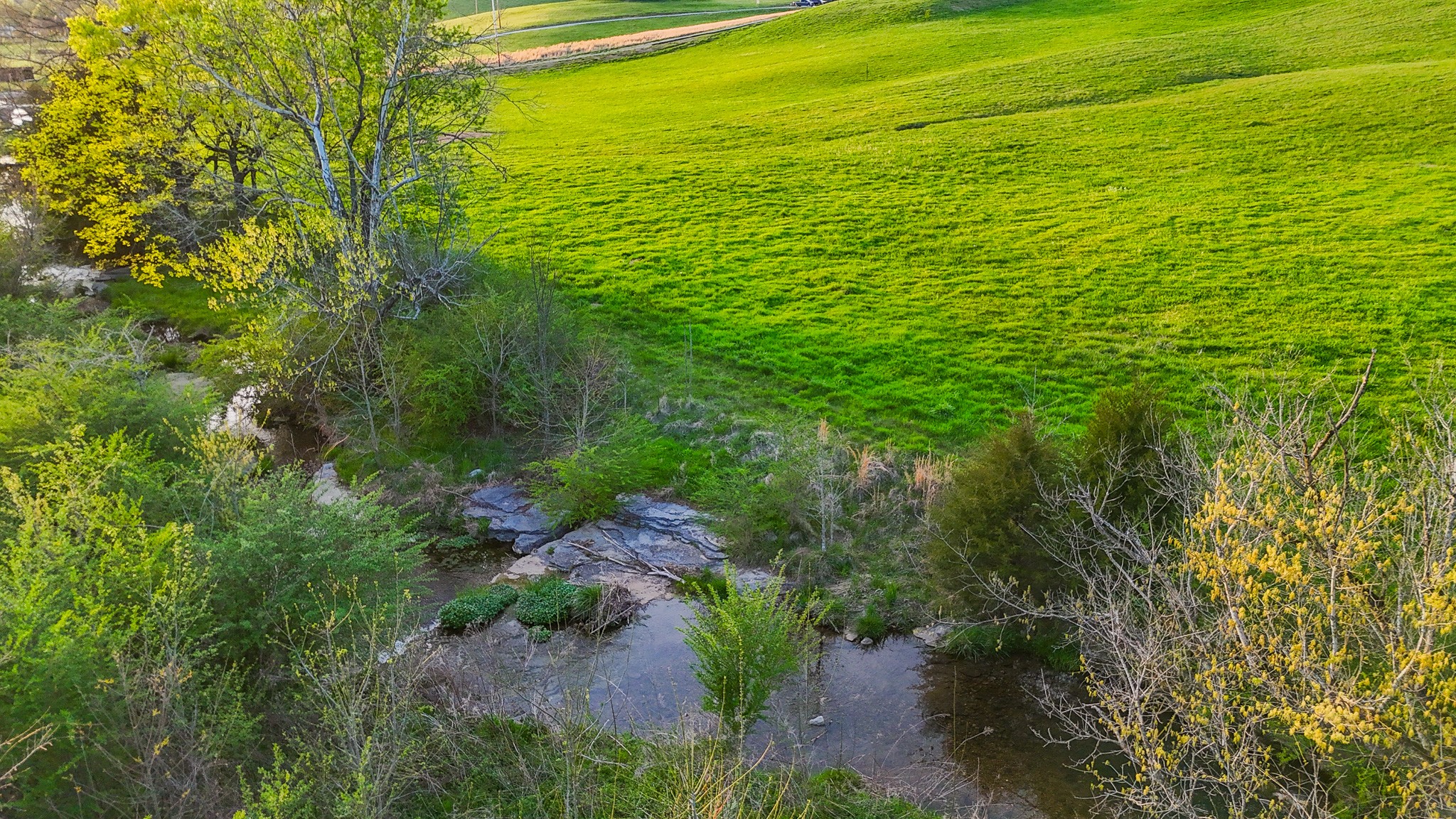 0 John Brinkley Road Wartrace, TN 37183 - Photo 11 of 18 a view of a field with an ocean