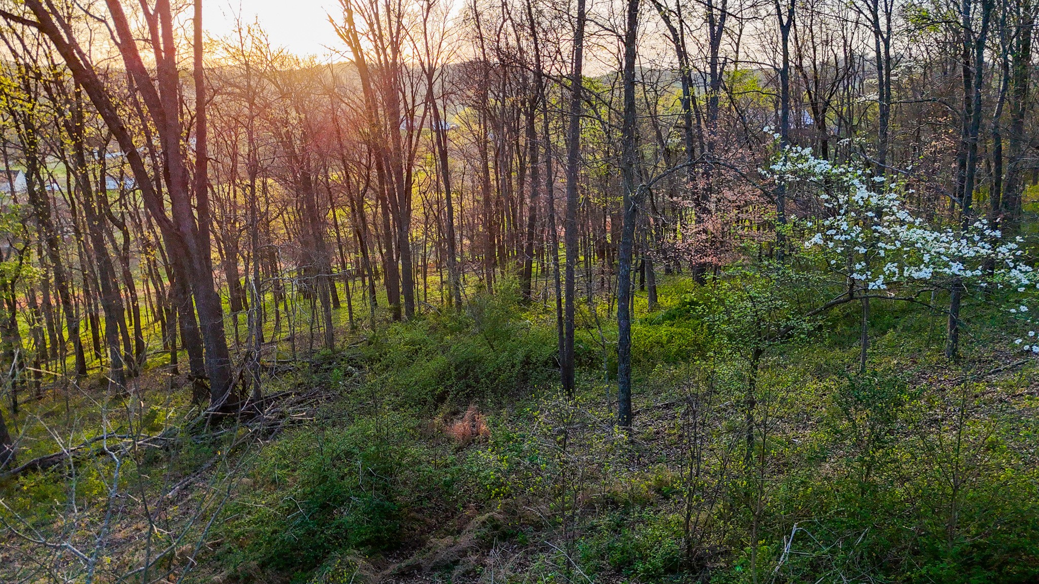 0 John Brinkley Road Wartrace, TN 37183 - Photo 13 of 18 a view of outdoor space and trees