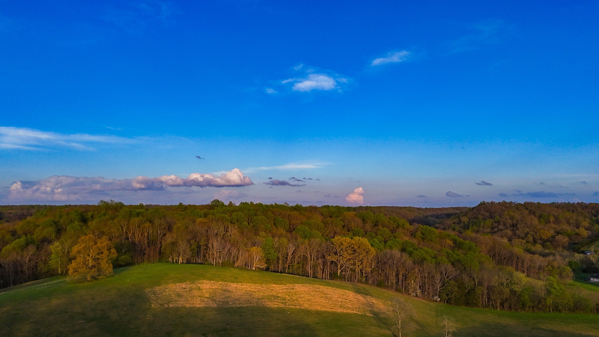 0 John Brinkley Road Wartrace, TN 37183 - Photo 15 of 18 a view of an lake and mountain