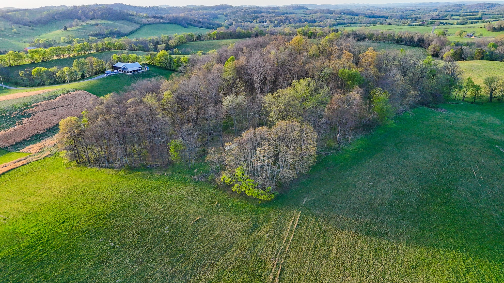 0 John Brinkley Road Wartrace, TN 37183 - Photo 2 of 18 a view of a lake with green field and mountains