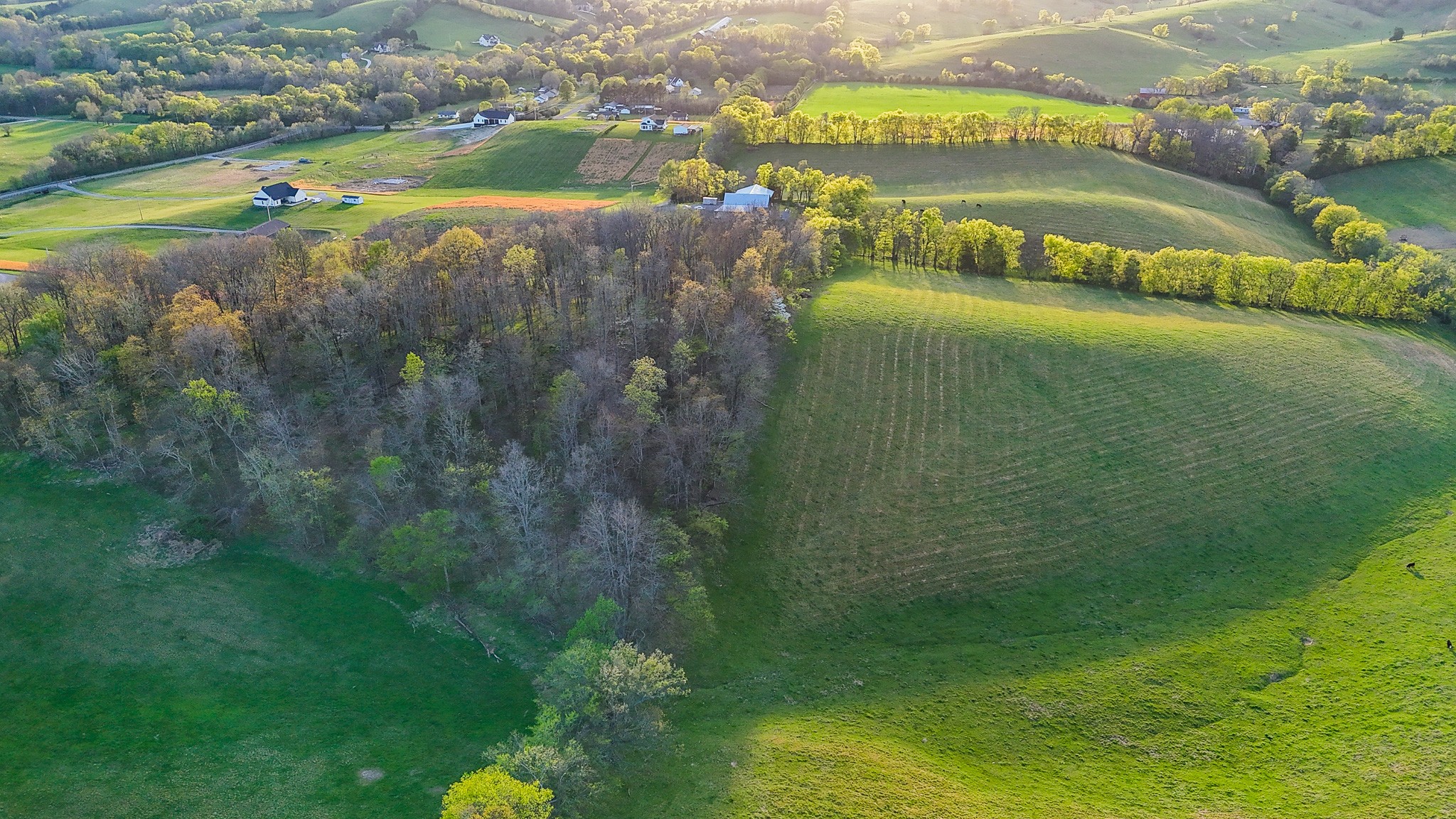 0 John Brinkley Road Wartrace, TN 37183 - Photo 3 of 18 a view of a city