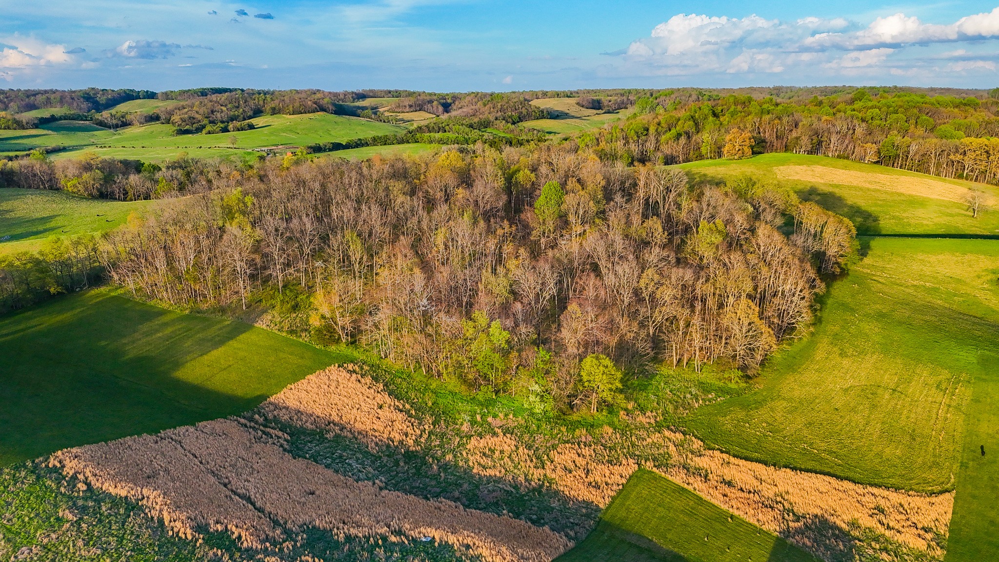 0 John Brinkley Road Wartrace, TN 37183 - Photo 5 of 18 a view of an outdoor space and a lake view