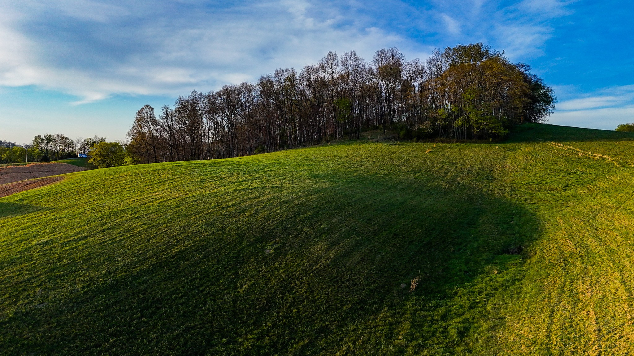 0 John Brinkley Road Wartrace, TN 37183 - Photo 6 of 18 a view of a field of grass and trees