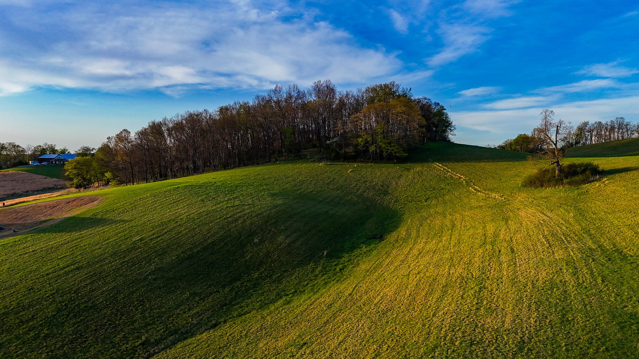 0 John Brinkley Road Wartrace, TN 37183 - Photo 8 of 18 a view of a lake from a yard