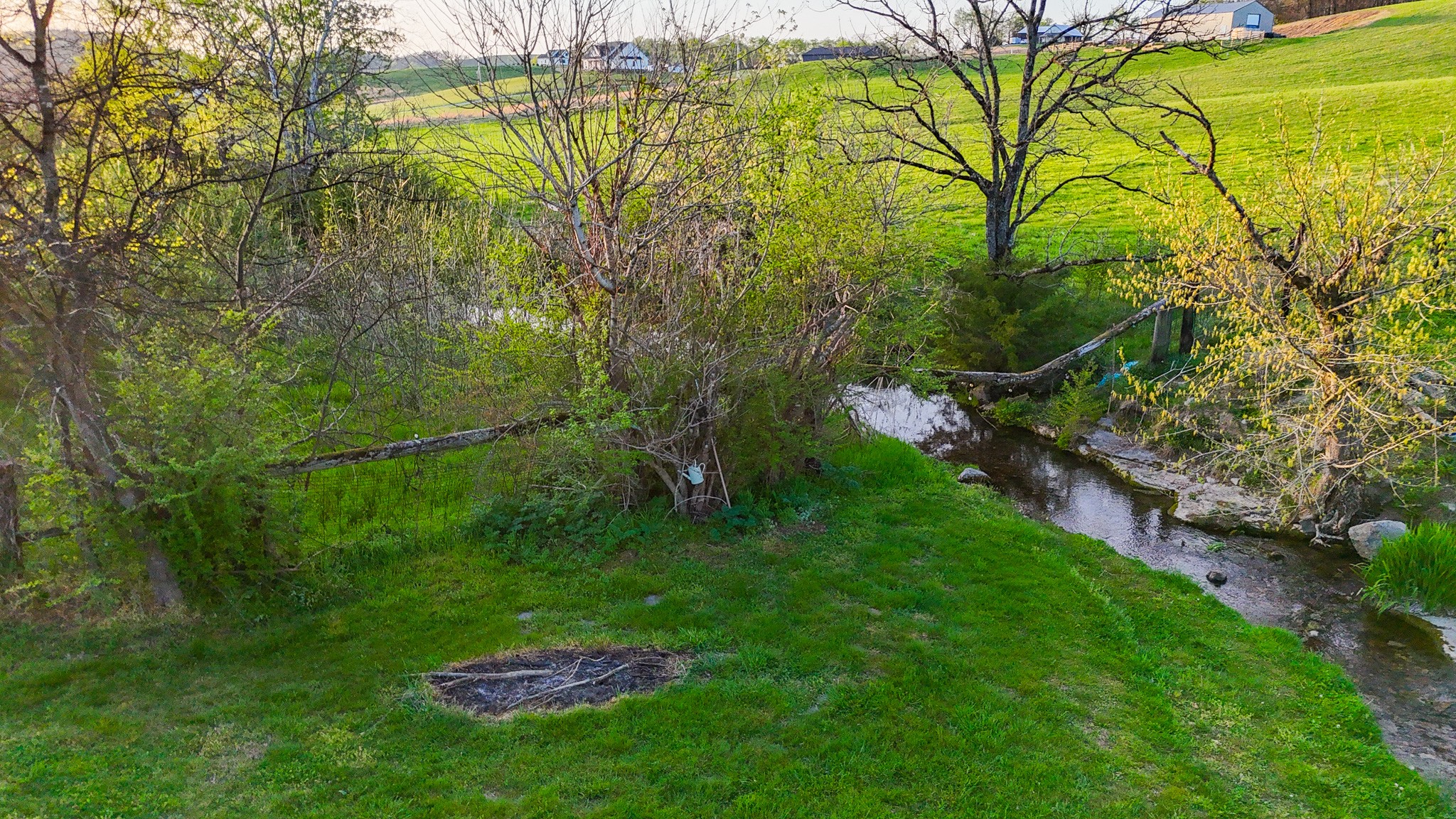 0 John Brinkley Road Wartrace, TN 37183 - Photo 10 of 18 a view of a backyard