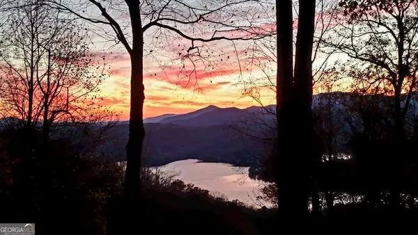 a view of a garden with a swimming pool