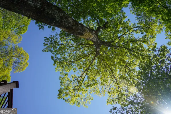 $995,000 | 1289 Rainwater Trail, Tiger, GA 30576