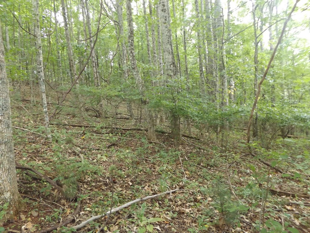 Tbd Kanawha Ridge Road, Unit 9 Dugspur, VA 24325 - Photo 3 of 10 Gallery Image 3