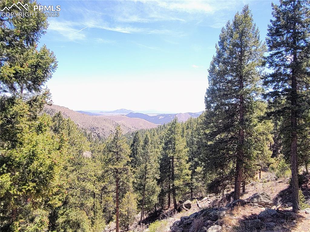 33348 Persistence Avenue Pine, CO 80470 - Photo 32 of 39 a view of a mountain range with trees in the background