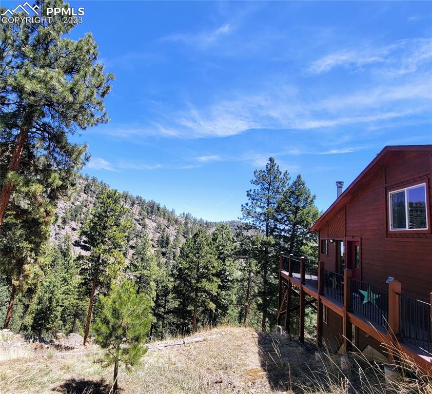 33348 Persistence Avenue Pine, CO 80470 - Photo 35 of 39 a view of a house with a yard